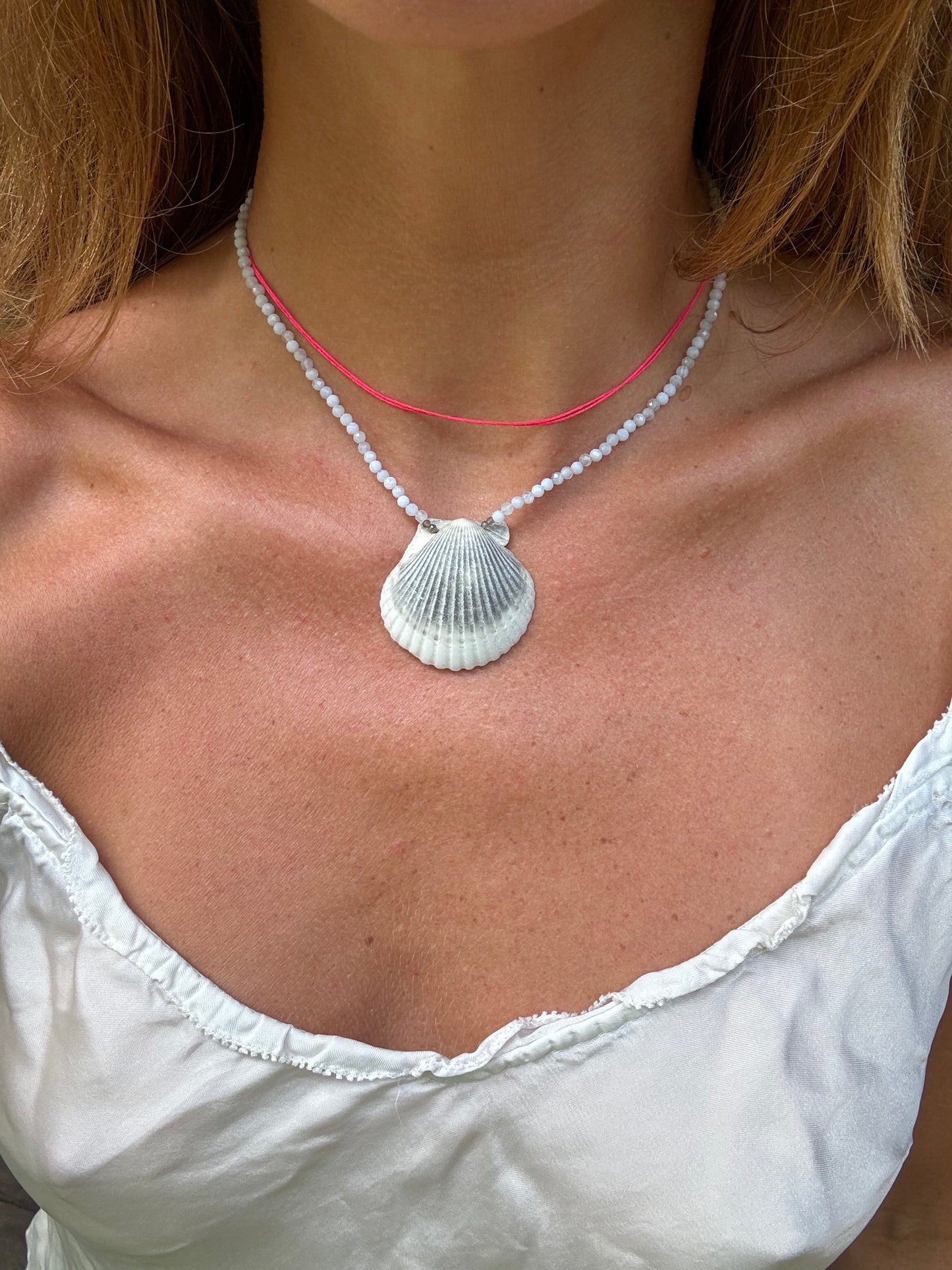 Angelite Scallop