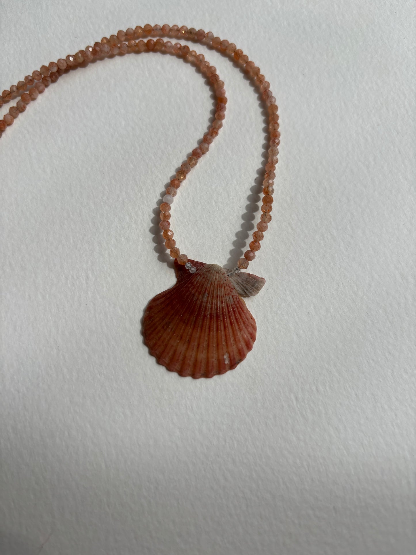 Sunstone Scallop 1