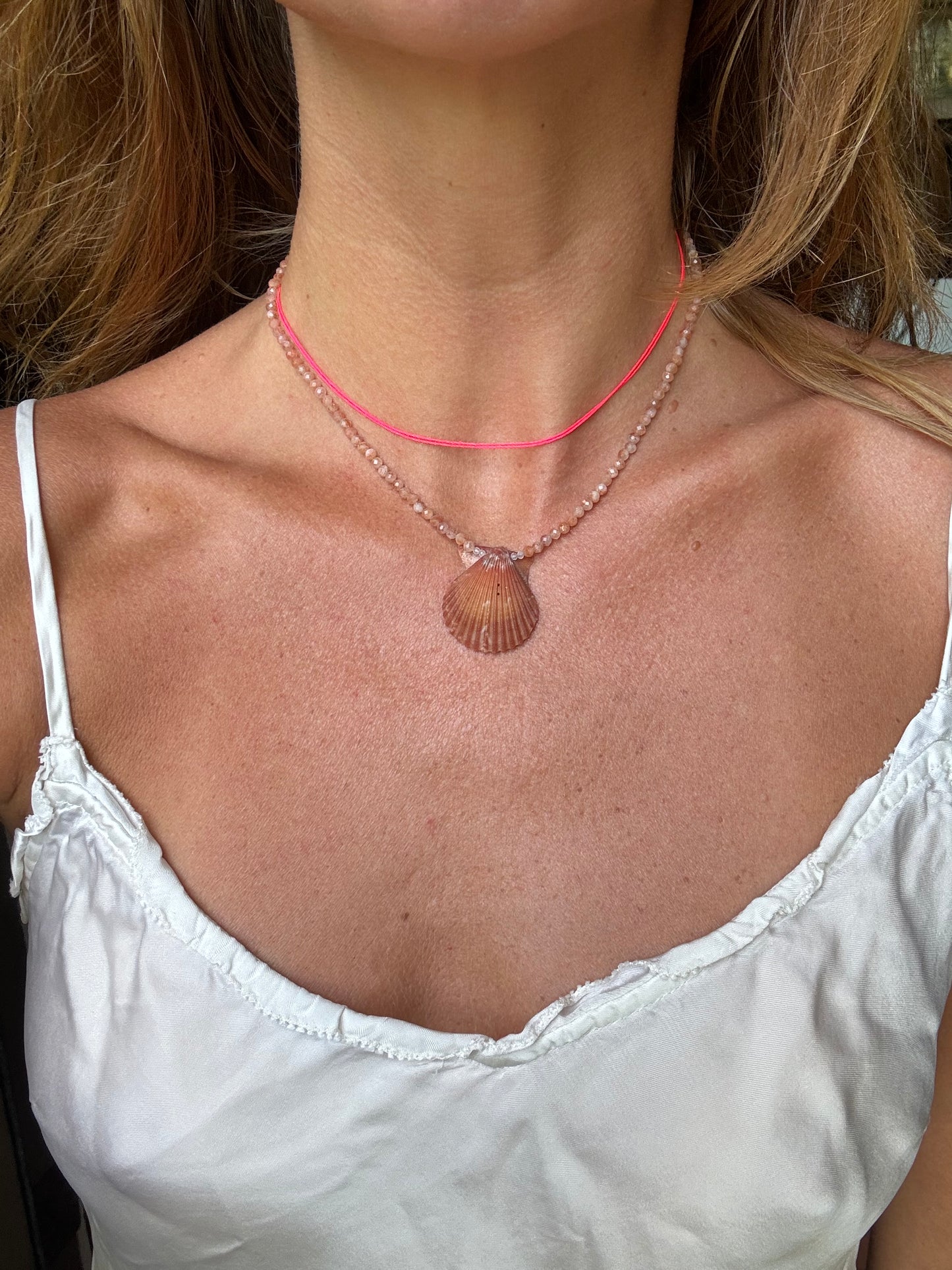 Sunstone Scallop 2