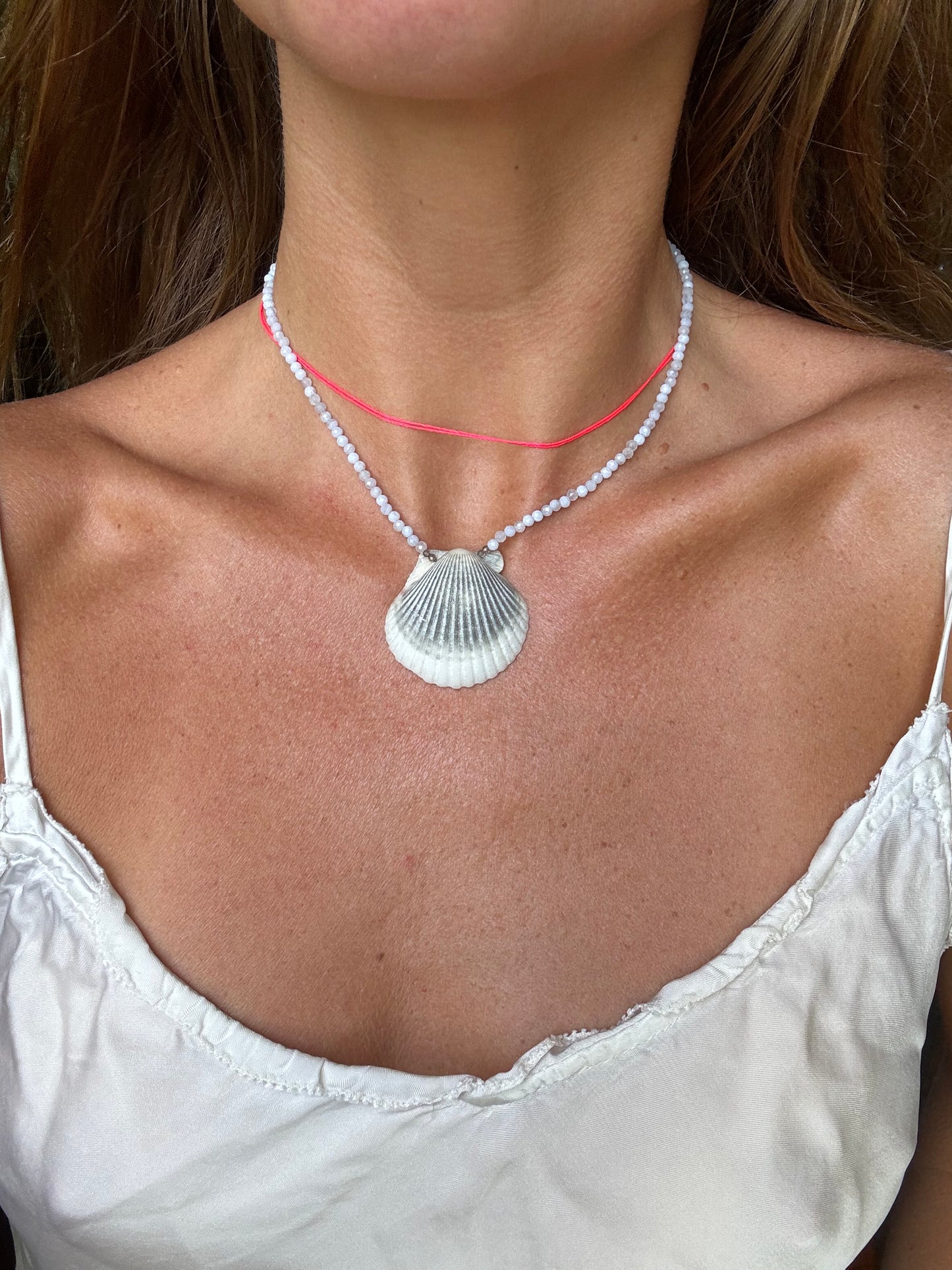 Angelite Scallop