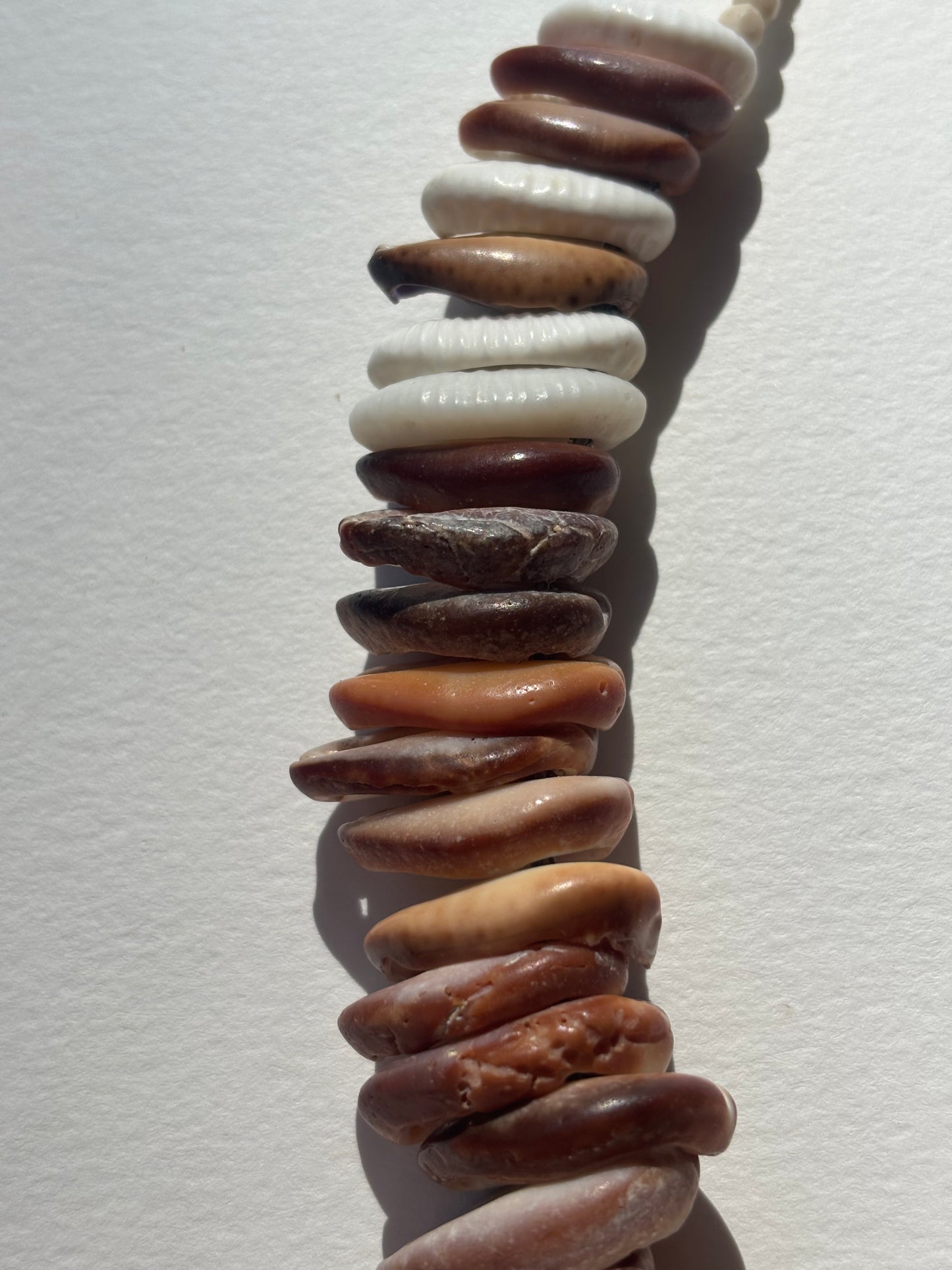 The Cowrie Necklace