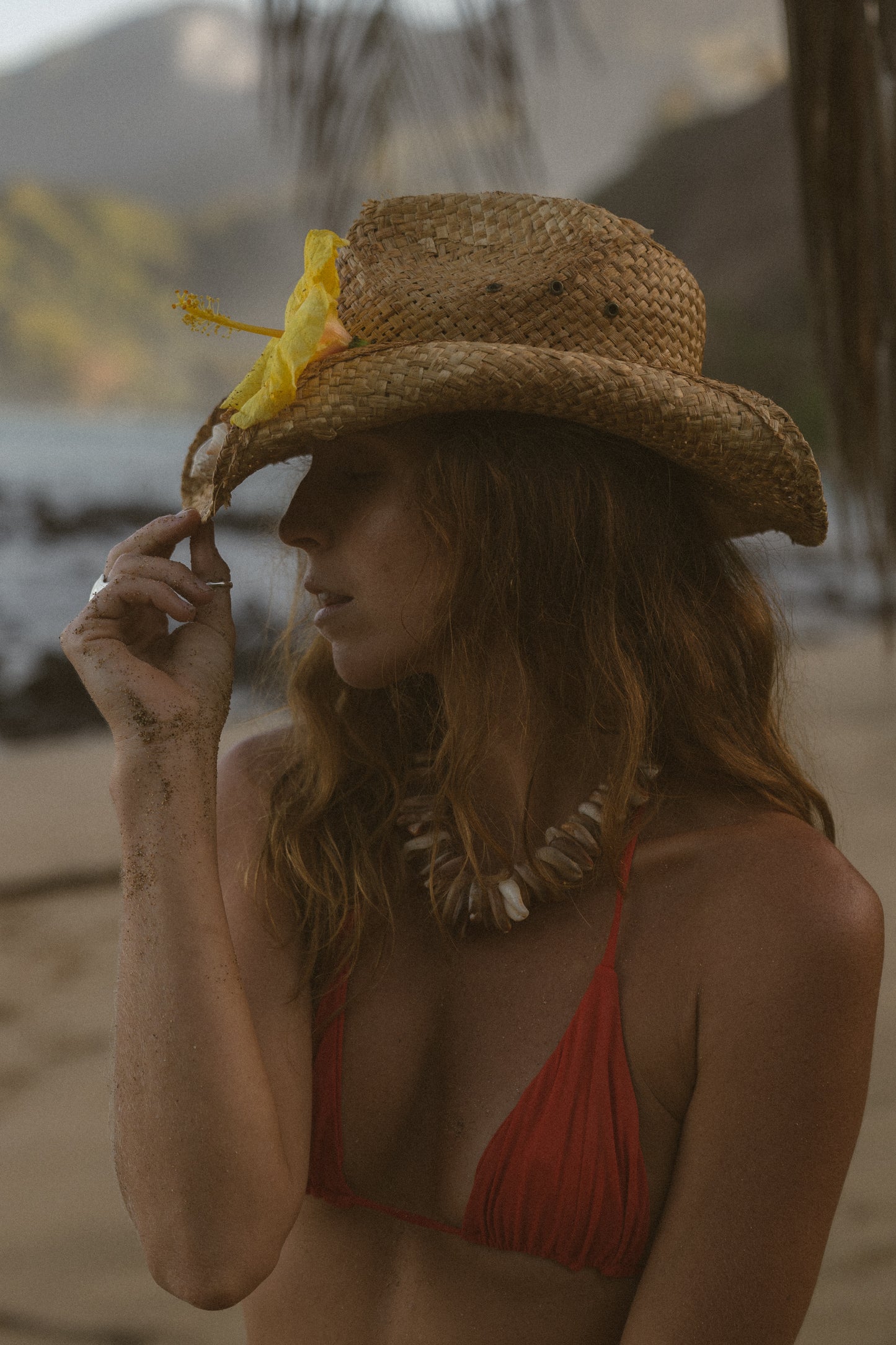The Cowrie Necklace