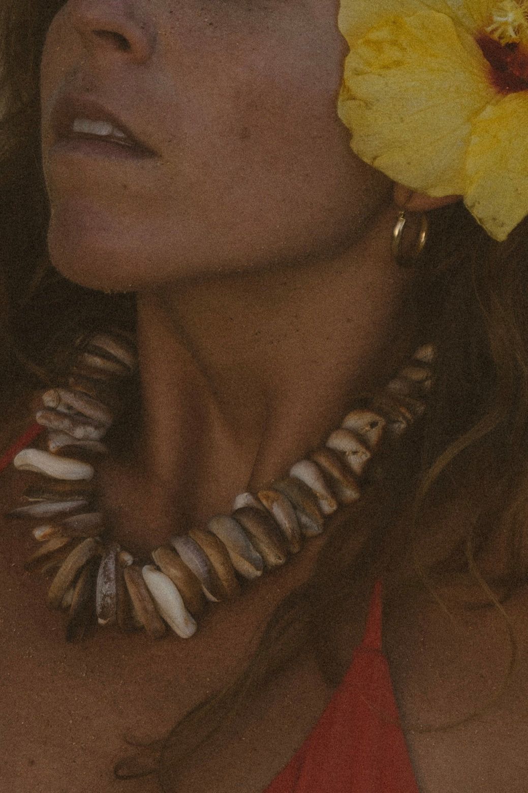 The Cowrie Necklace