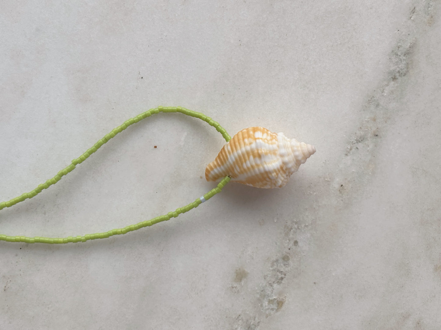 Green aura conch