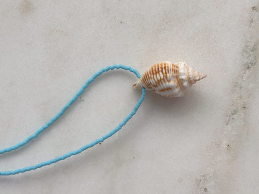Blue aura conch