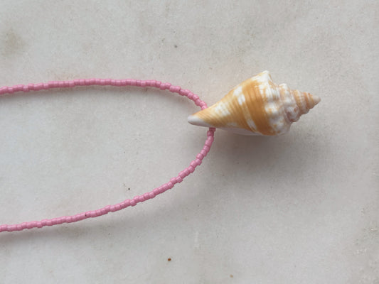 Pink aura conch