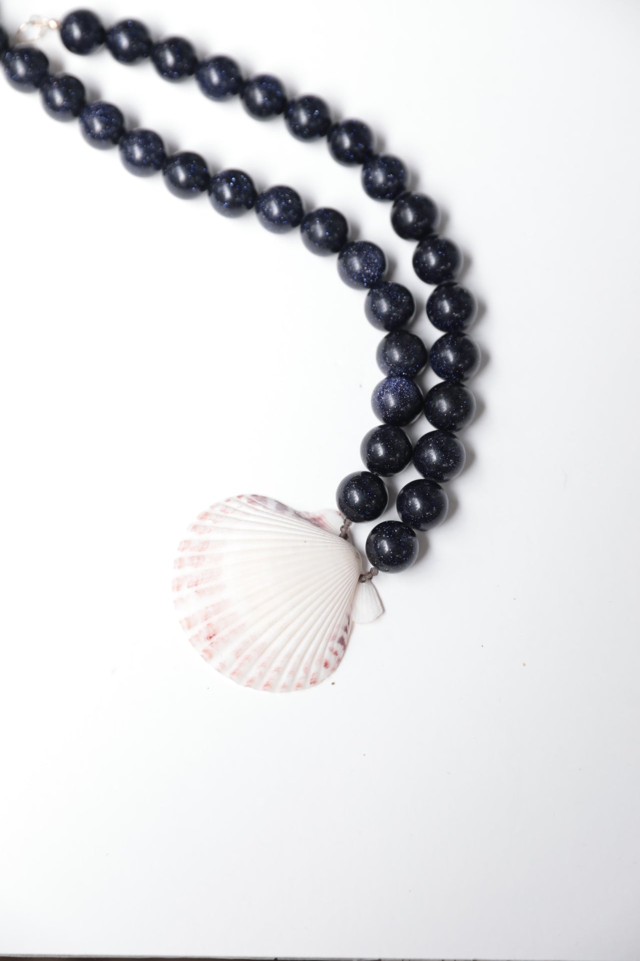 Blue Goldstone Scallop