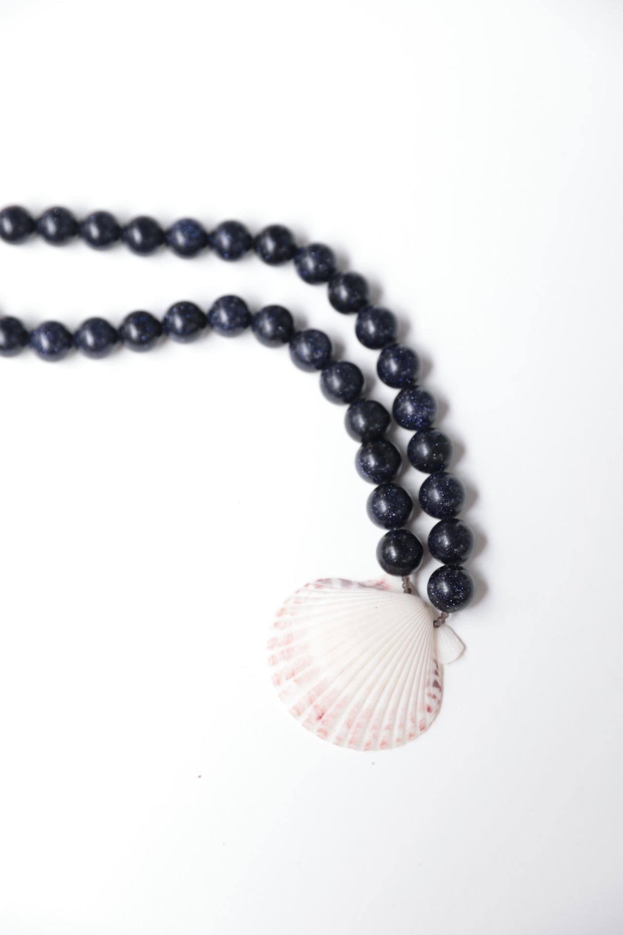 Blue Goldstone Scallop