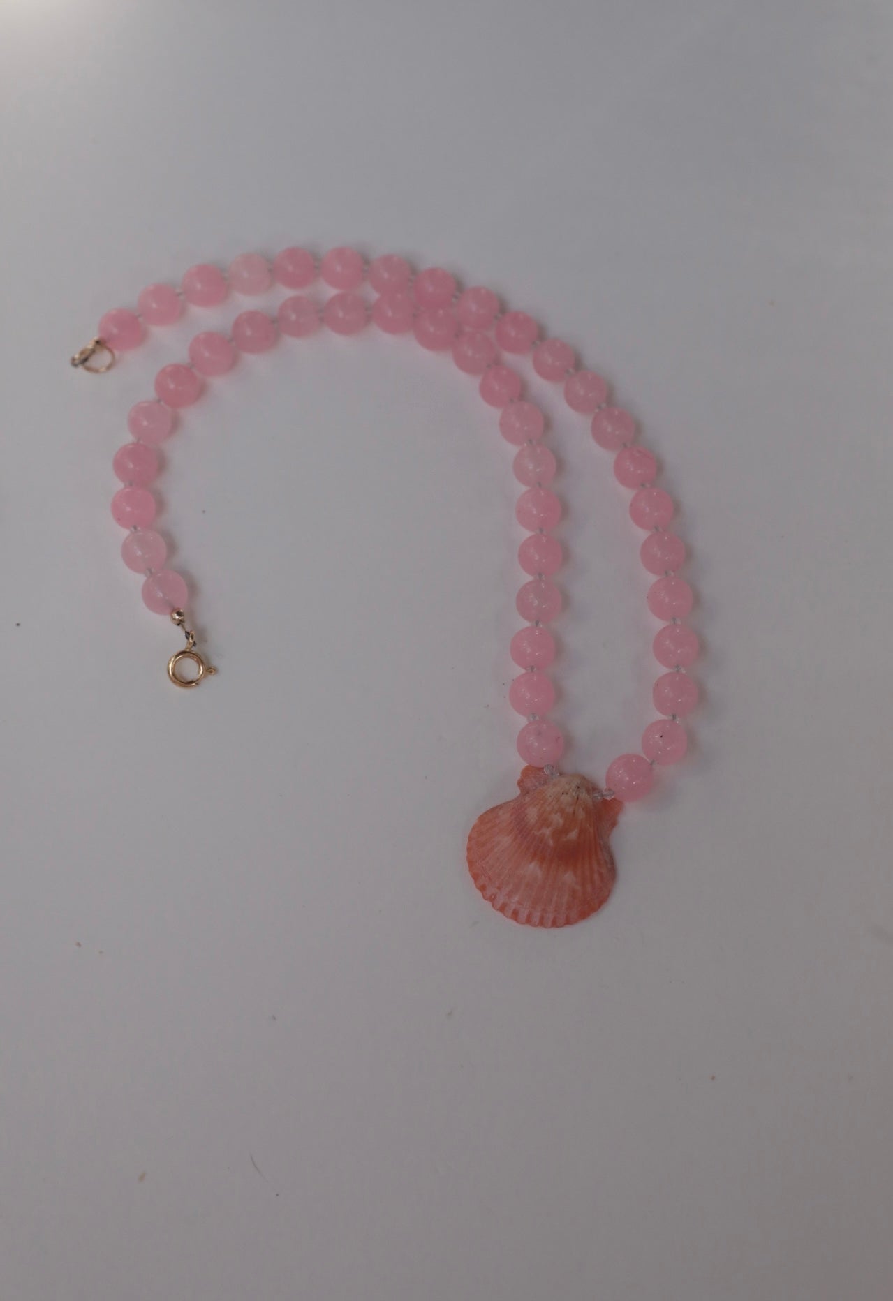 Pink Jade Scallop