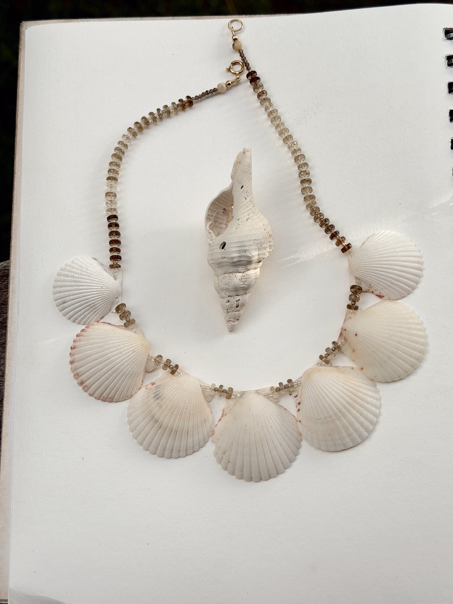 Whiskey Scallop Statement