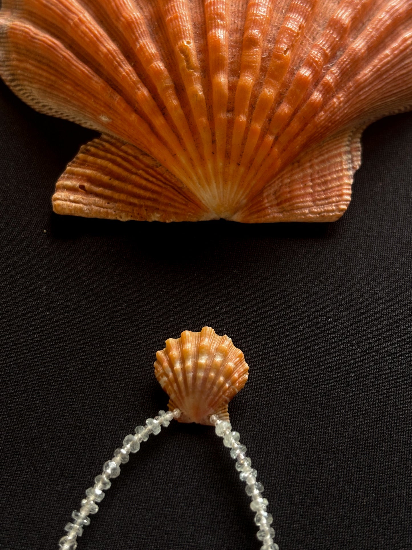 Rare Sunrise Shell Aquamarine Necklace